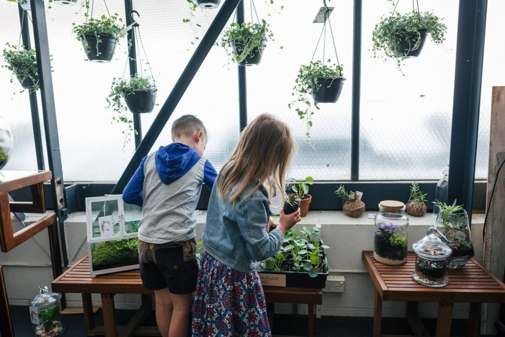 Indoor Plants Melbourne