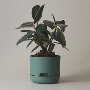 Self-watering Plant Pot 170mm Moss