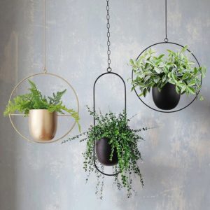 Elongated Plant Hanger - Large
