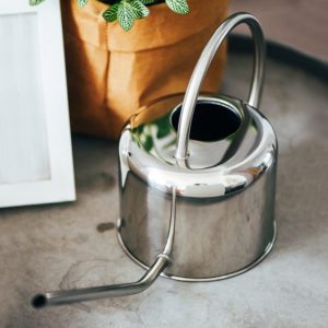 Watering Can 1.5 L – Silver