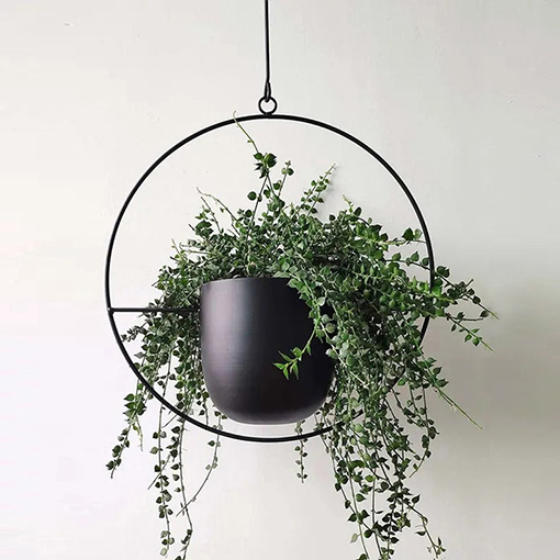 Designer Hanging Basket Indoor Plant Pots s