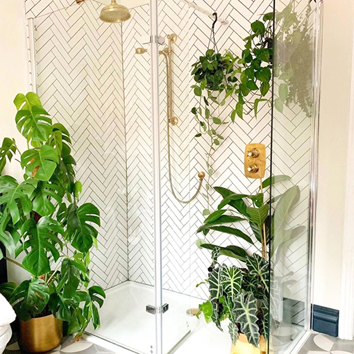 Hanging Basket Plants Bathroom - thewateringvine s