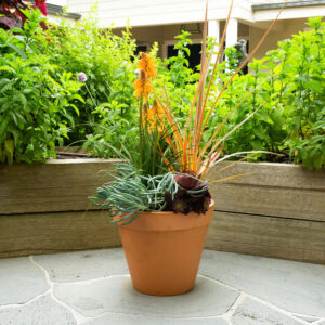 Terracotta Garden Pot – Classic 160mm