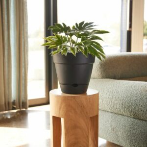 Leonard Self Watering Round Pot 250mm - Medium (Black)- Mild Marks
